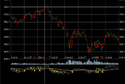 可編程模型策略指標，圖形展示，歷史數據測試，基金自動運行，強大的風險控制配置與實時監(jiān)控管理，CTP、金仕達接口