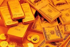 多幣種、多品種商品、多業(yè)務單位，交易管理、會計管理、報表管理