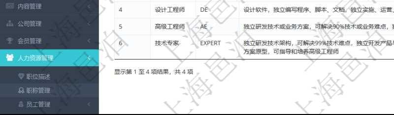 項目管理軟件人力資源管理職稱管理查詢列表可以查詢維護(hù)職稱配置信息，比如包括：ID、名稱、代碼、描述與分類等。