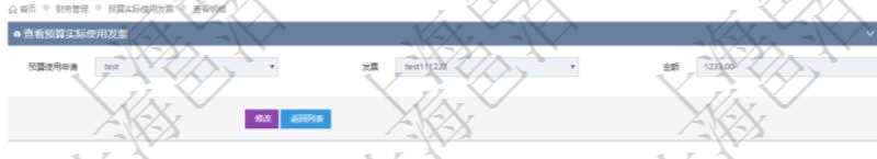 查詢項(xiàng)目管理軟件財(cái)務(wù)管理系統(tǒng)預(yù)算實(shí)際使用發(fā)票信息時(shí)返回：預(yù)算使用申請(qǐng)、發(fā)票信息及金額。
