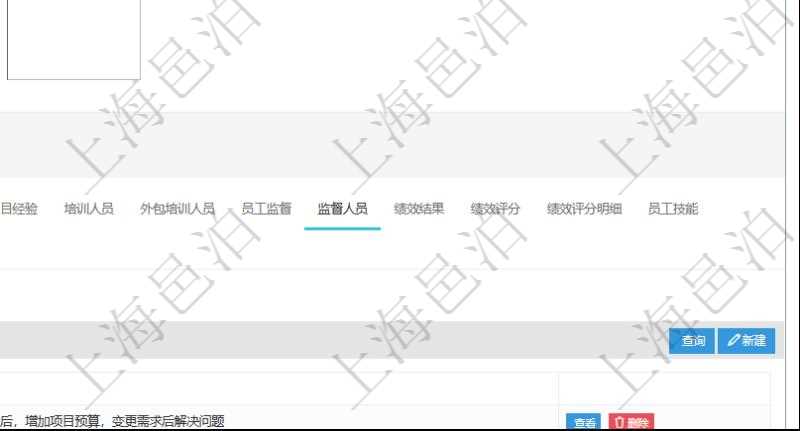 項(xiàng)目管理軟件人力資源管理模塊員工基本信息資料明細(xì)查詢還可以關(guān)聯(lián)查詢更多相關(guān)資料，比如負(fù)責(zé)過的監(jiān)督項(xiàng)目：監(jiān)督、項(xiàng)次、總結(jié)。